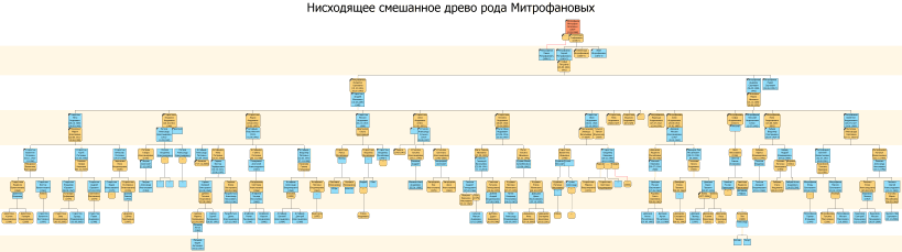 Нисходящее смешанное древо рода Митрофановых