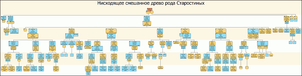 Нисходящее смешанное древо рода Старостиных