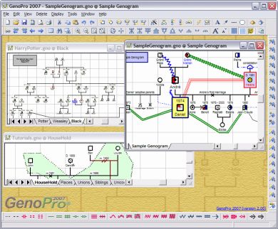 Скриншот генеалогической программы GenoPro 2011