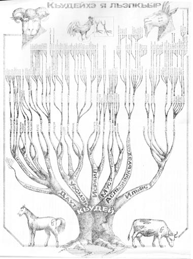 Родословное древо Терекских Кудаевых (Малая Кабарда)