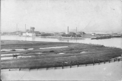 Майкоровский (Никитинский) завод. 1938 г.